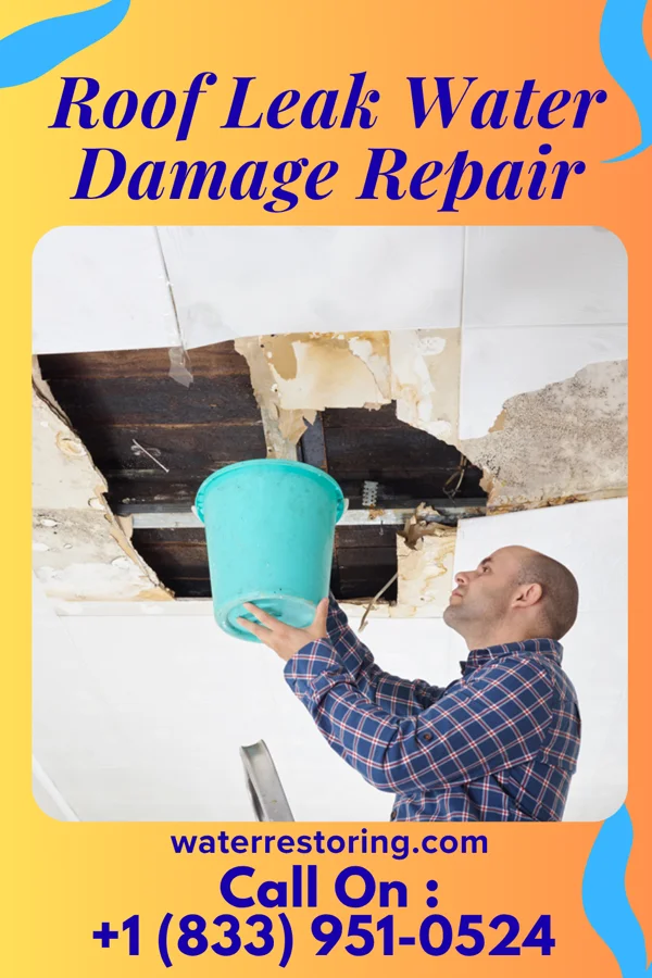 Roof Leak Water Damage Repair in Fairplay, CO